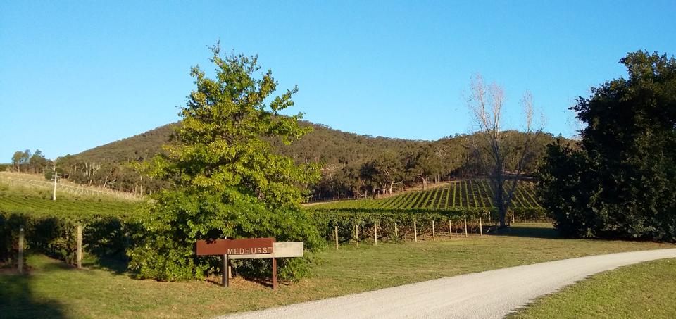 medhurst.jpg