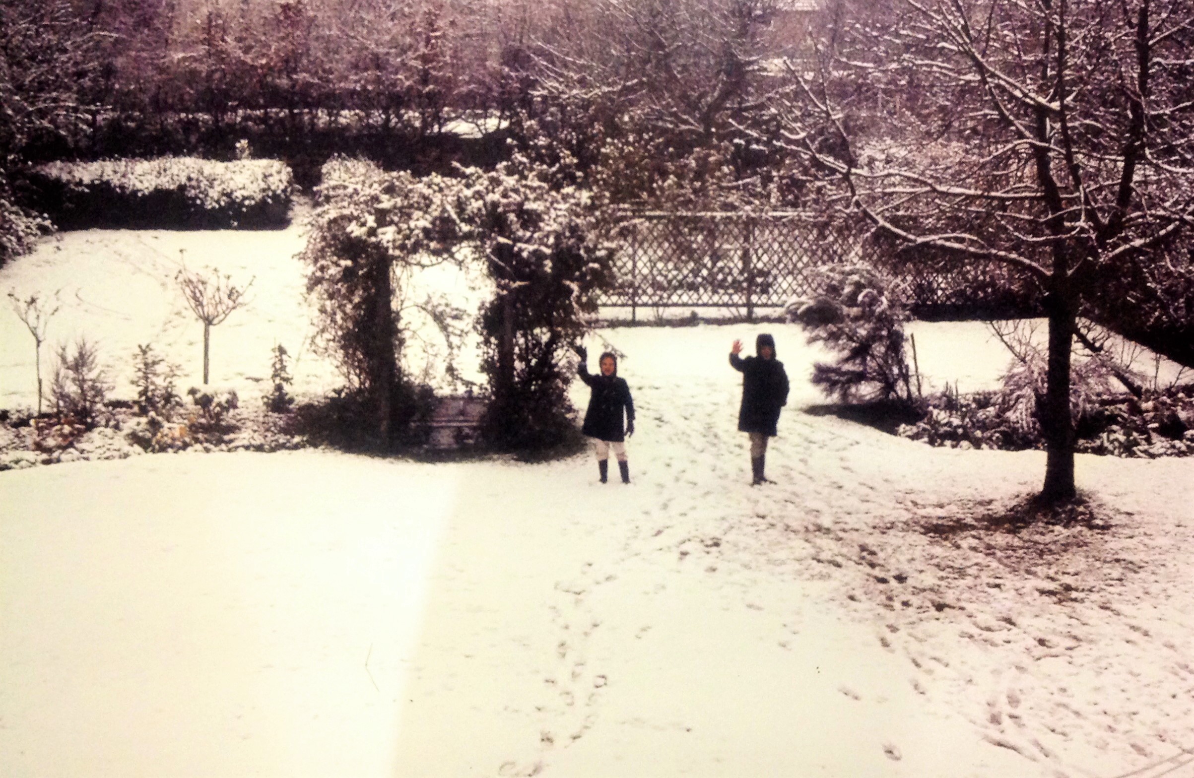 Wallis boys in the backyard