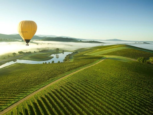 hot-air-balloon-over-yarra-valley.jpg