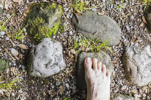 A barefoot aerial view on stone surface in the forest