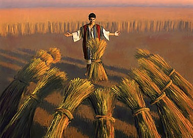 joseph-coat-sheaves.jpg