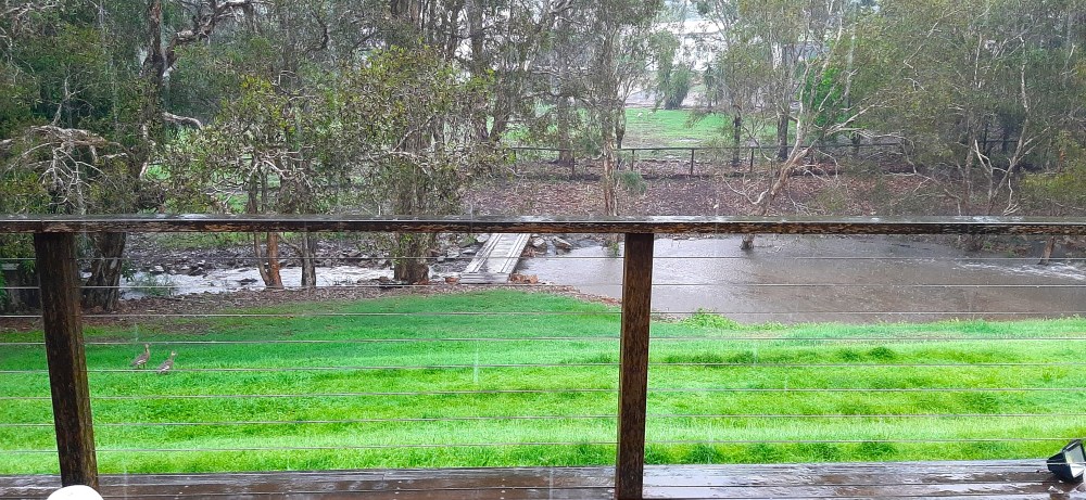 Backyard rain
